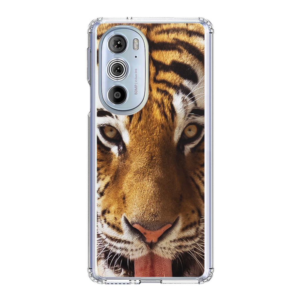 Tiger Eye Motorola Edge Plus 2022 Case