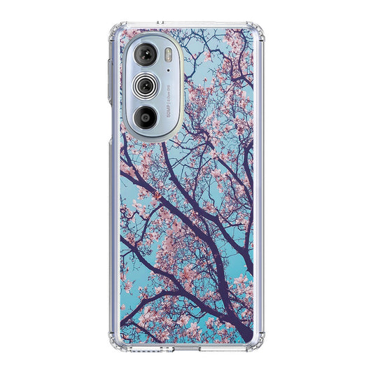 Arizona Gorgeous Spring Blossom Motorola Edge Plus 2022 Case