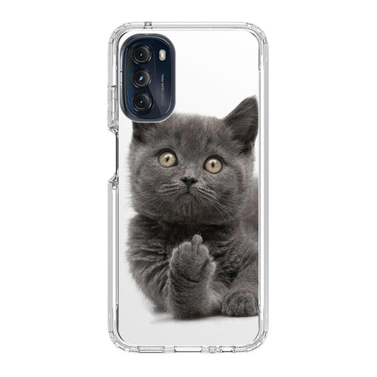 Finger British Shorthair Cat Motorola Moto G 5G 2022 Case